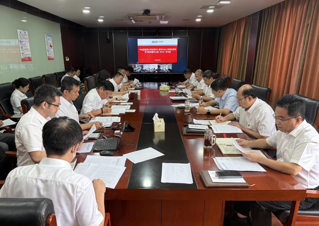 中电新能源公司举办党委中心组（扩大）学习