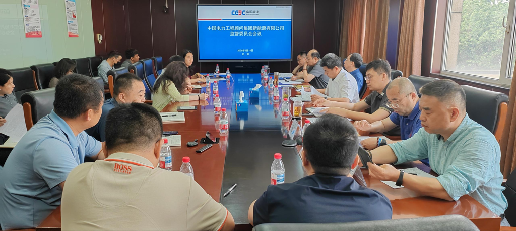 中电新能源公司召开2026年度第一次监督委员会